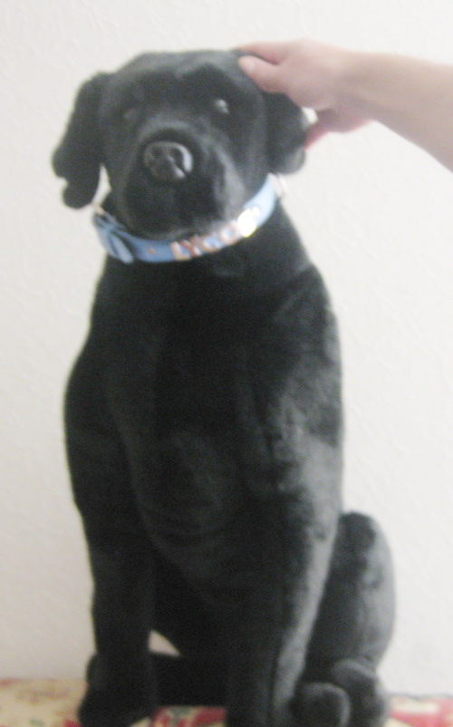 chien Lycos
